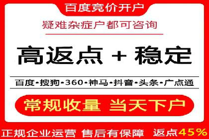 XX领域竞价广告的投放策略及效果展示